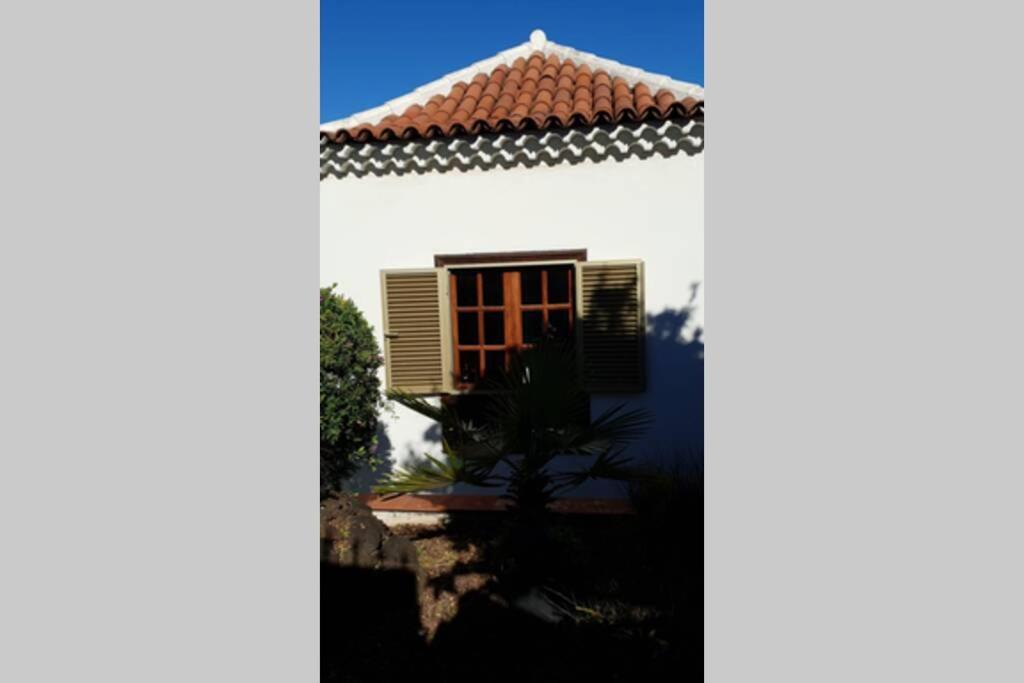 Villa La Paz Puerto de la Cruz  Dış mekan fotoğraf