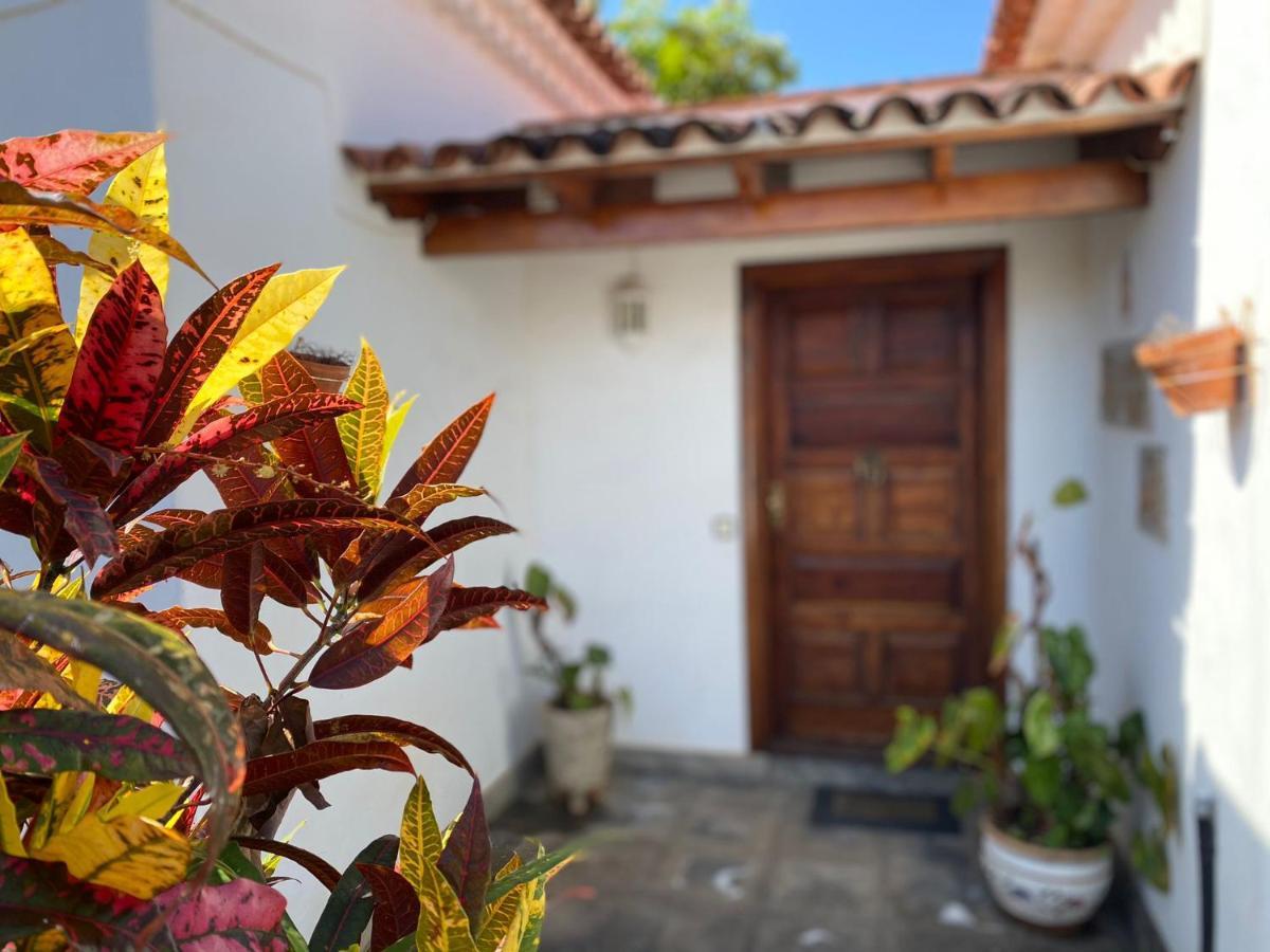 Villa La Paz Puerto de la Cruz  Dış mekan fotoğraf